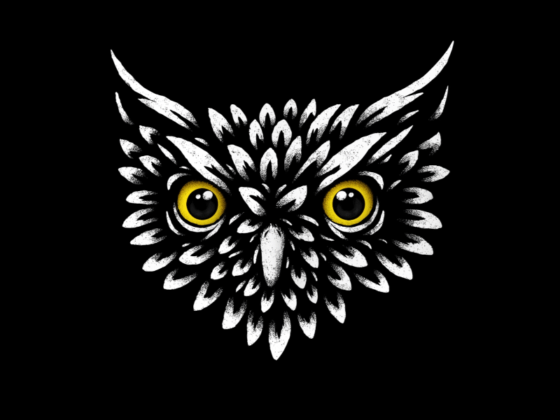 Night Owl - Animalator 2d 3d adobe animal c4d cinema 4d design illustration illustrator owl photoshop texture