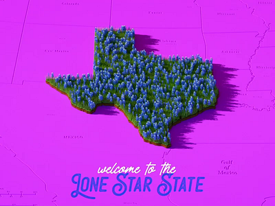 Welcome to the Lone Star State 2d 2d animation 3d after effects animation c4d cinema 4d illustration motion design motion graphics