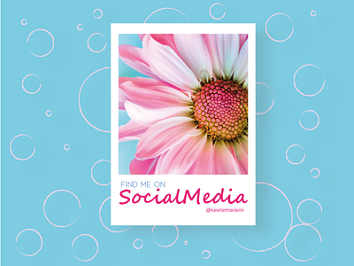 Sunflower blue bubble cadre design frame illustration pink socialmedia sunflower sunflowers