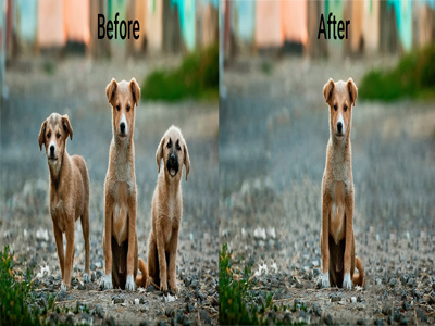 I will do background removal. background removal background remove backgroundresizing design editing editing photo face swapphoto image editing image manipulation photo edit photoediting photography product background remove