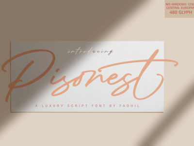 Pisonest Signature awesome beautiful branding calligraphy card design elegant font graphic design handlettering handwritten illustration logo magazine motion graphics signature t shirt typography wedding