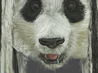 Rasta Panda animal digital painting drawing dreadlocks illustration painting panda progress rasta scribble wacom