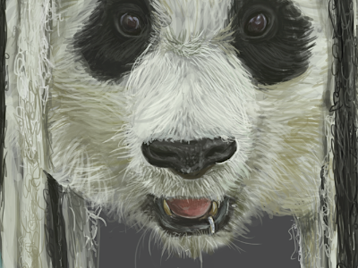 Rasta Panda