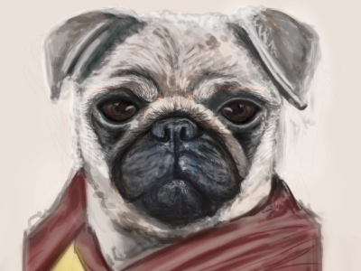 Buddhist Pug art digital painting buddhist dog illustration painting pug