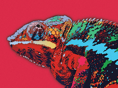 Rainbow Chameleon