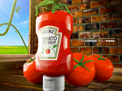 Heinz Ketchup