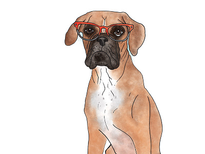 Abby the Boxer boxer dog dogs with glasses illustration