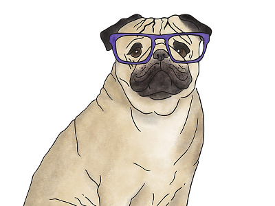 Milo the Pug digital art dog illustration pug watercolour