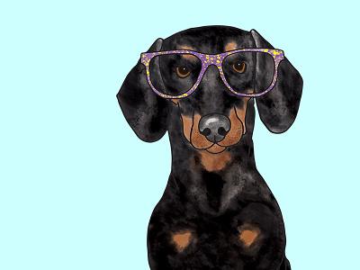 Dachshund Pet Portrait Illustration cute dog design digital art digital artist dog art dog illutration drawing graphic art illustration art