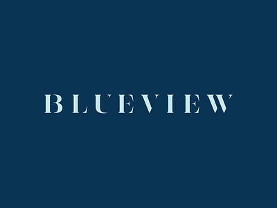 Blueview Logo branding design free throw lettering logo minimal modern type typeface typography