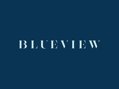 Blueview Logo