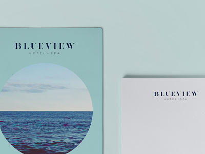 Blueview Branding Collateral