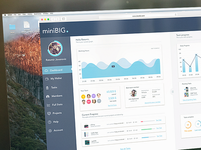 MiniBIG analytics dashboard design enterprise ui user interface user interface design ux