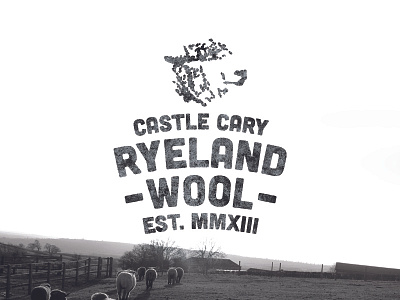 Castle Cary Wool (Cleaner Version)