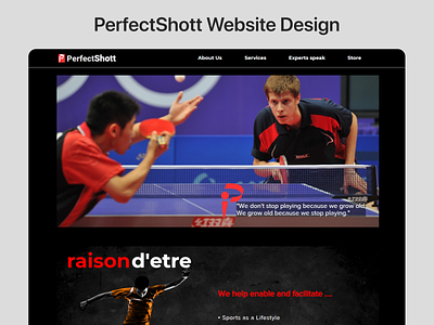 PerfectShott Website Design