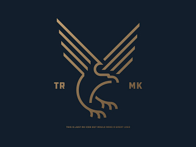 Eagle animal bald eagle bird eagle flying golden icon line drawing logotype minimal rich