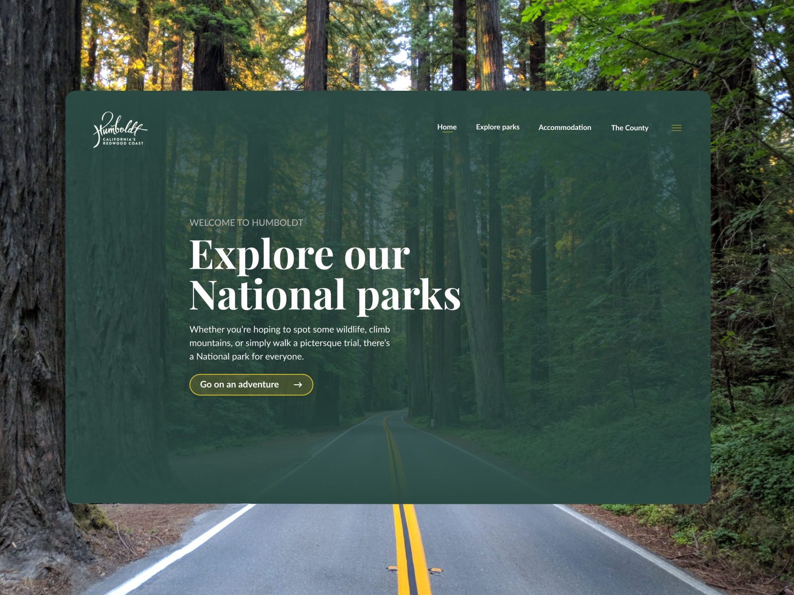 National parks Website Concept by Krista on Dribbble