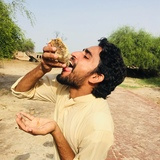 MUHAMMAD BASHART ALI