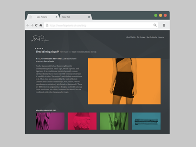 Leo Polaris applications branding display ad mobile multi platform web interface design website