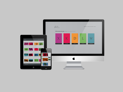 Leo Polaris applications branding display ad mobile multi platform web interface design website