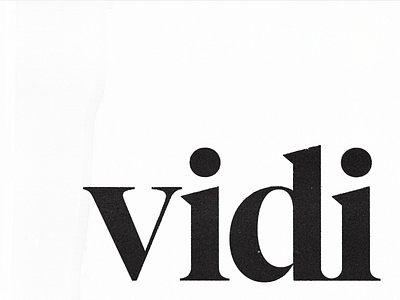 Vidi Logotype branding design graphic design logo typography