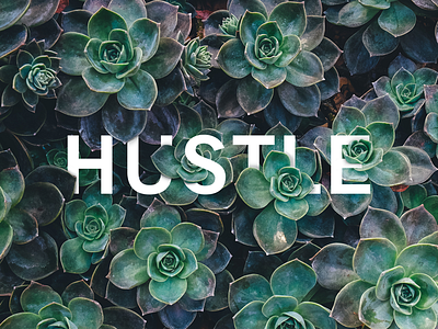 Hustle. Enough said depth design earth layers nature photoshop psd succulents typography