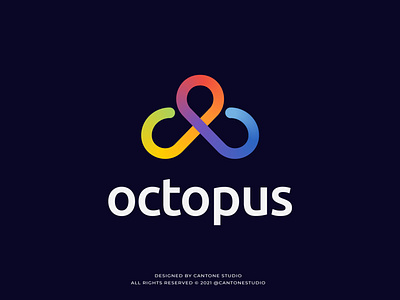 Octopus Modern Logo Design