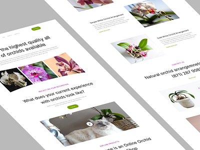 Orchid shop landing page ui