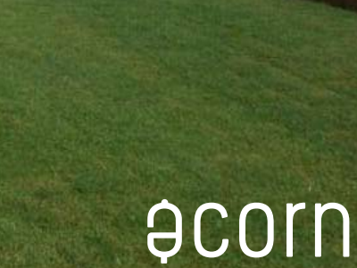 Acorn acorn brand grass logo