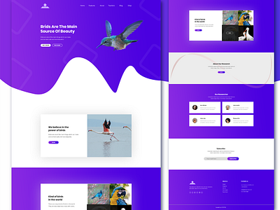 Web Design Bird landing page in Photoshop | Bird's Landing Page bird logo birdwebsite branding flat graphic design illustration minimal ui ux web web design webdesign