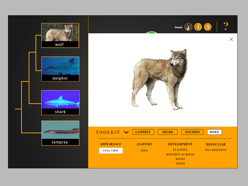 All In The Family Evolution Game Interface web interactive ui education