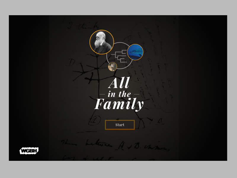 All In The Family Evolution Game landing screen web interactive ui education