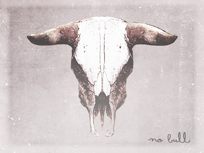 Illustration illustration horns bull