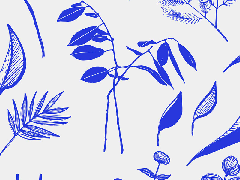 Botanical Garden Illustration Vector Set hand drawn plants organic digital graphics illustrations vectors botanicals