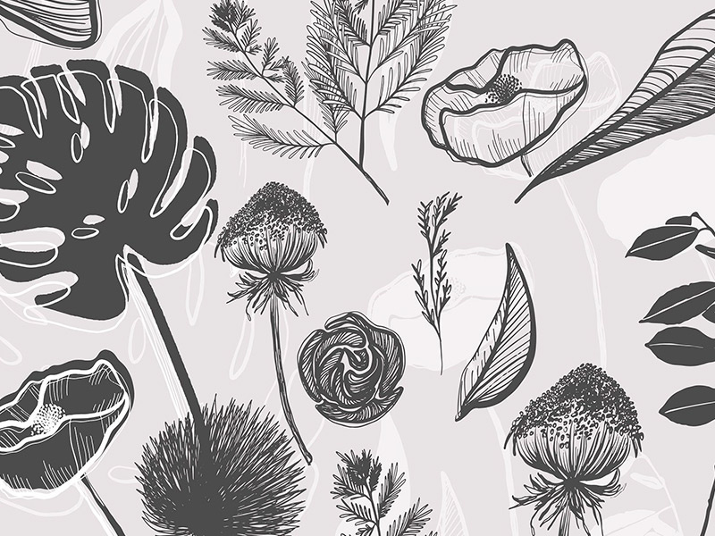 Botanical Garden Illustration Vector Set hand drawn plants organic digital graphics illustrations vectors botanicals