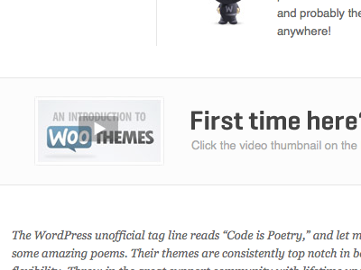 Take a tour of WooThemes woothemes