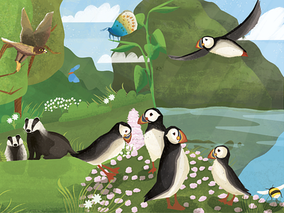 British Wildlife SUMMER Part 2 book illustration design desinger digital digital art digital illustration digital painting drawing illustration illustration art illustrations illustrator