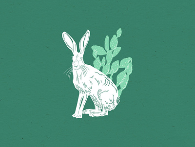 Jackrabbit Illustration branding design illustration vector