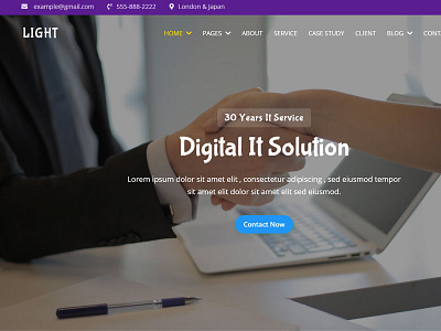 Light Consulting & Business IT Solution Service HTML Theme branding design flat minimal typography website