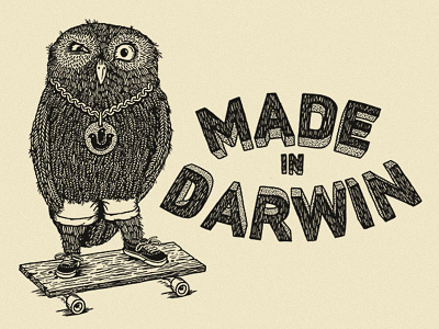 Owl feather handdrawn handmade illustration ink owl screenprint skate tshirt type