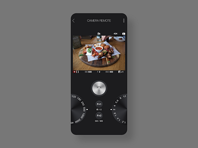 Camera Remote