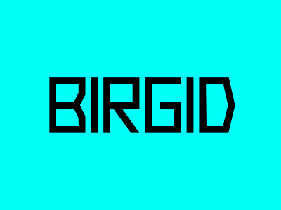 Birgid Font advertisement app branding creative design display font font fonts freak heading latest magazine minimal flyer minimal font modern font typeface typography ux web