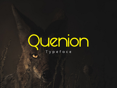 Quenion Font advertisement branding creative design display font extumus fashion flyer font font design fonts latest magazine minimal font poster trend typeface typography ux web