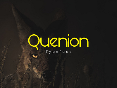 Quenion Font