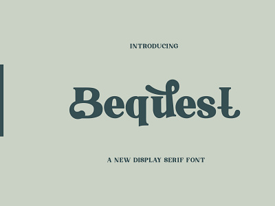 Bequest Serif Font branding display display type font fonts logo logotype minimal new font sans sans serif typography website