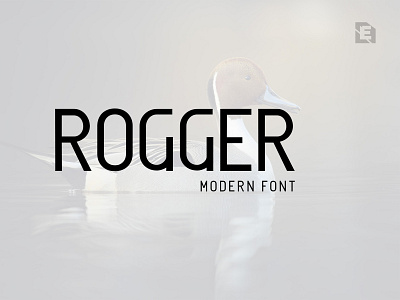 Rogger Modern Font branding font font for branding font for design font for display font for logo font for writing fonts logo design rogger typography web