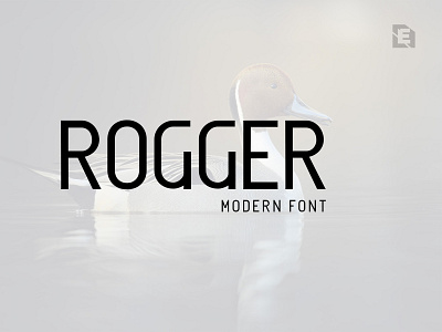 Rogger Modern Font