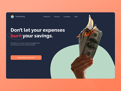 Expense Manager App Landing Page Concept app branding colors design dribbble expense expense manager finance finance app financial app fintech fintech app graphic design illustration logo minimal real life image savings ui ux