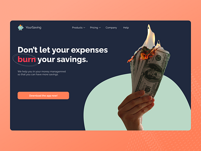 Expense Manager App Landing Page Concept