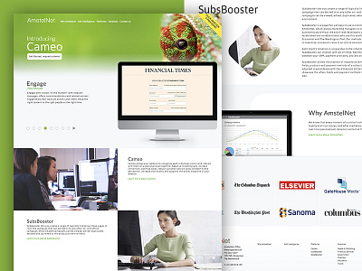AmstelNet, website redesign clean layout ui design ux design